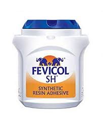 Fevicol Gum (1 kg)