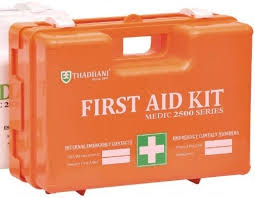 First Aid Kit with ABS Plastic Body, Portable, Light Weight Transparent, Wall-Mounting with contents, Approximate Size (30cm x 32cm x 11cm)