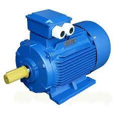 0.75KW/1HP,2POLE 3000 RPM,415 VOLTS, 3 PHASE,IP-55,S1 DUTY,CLASS-F INSULATION,50Hz, FOOT MOUNTED[B3],TEFC,IE2,SQUIRREL CAGE INDUCTION MOTOR.FRAME SIZE-RC 80.