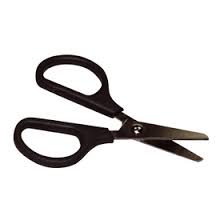 Scissor 9 Inch