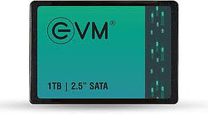 EVM SATA SSD 1TB M.2 NVMe PCIe
