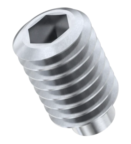 SS Grub Screw M2X12MM