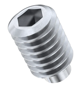 SS Grub Screw M6X5MM