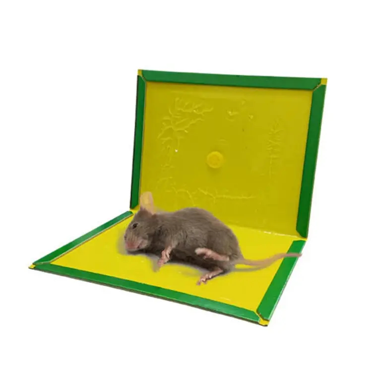 Rat Gum Boards - Small (7.5 X 5 Inch)