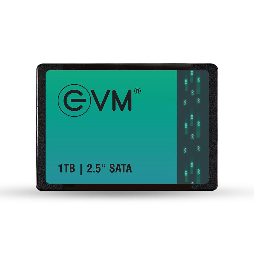 SSD 2.5 SATA (1 TB)