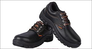 SAFETY SHOES - PITBULL MIRAGE